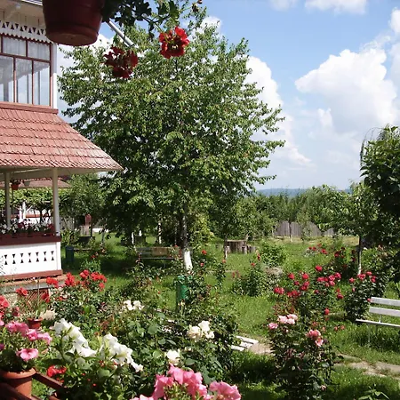 Padurea De Argint Farm stay Varatec