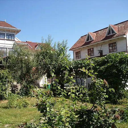 Padurea De Argint
